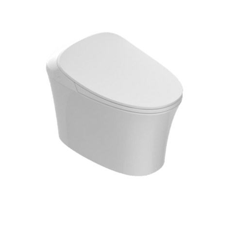 Smart Toilet