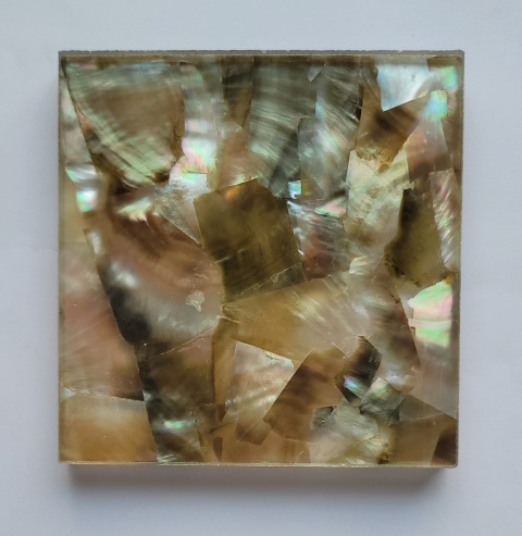 Shell Laminated Art Glass