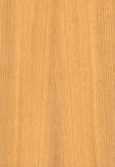 Color Swatch