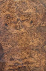 树瘤木饰面
