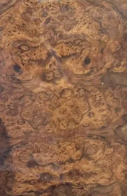 Burl Wood Veneer