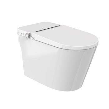 Smart Toilet