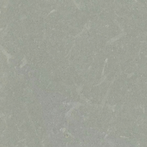 European Grey