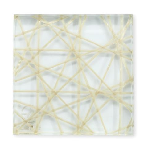 Fiber Mesh Laminated Glass