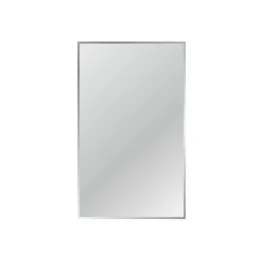 Silver Mirror