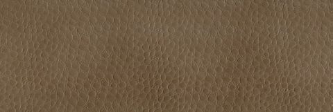 Beige Warren