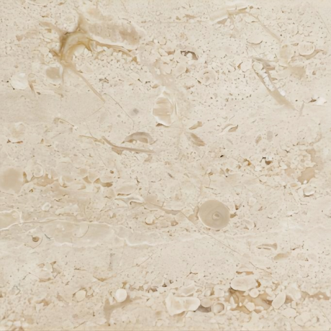 White Almond
