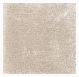 Hand-Tufted Carpet
