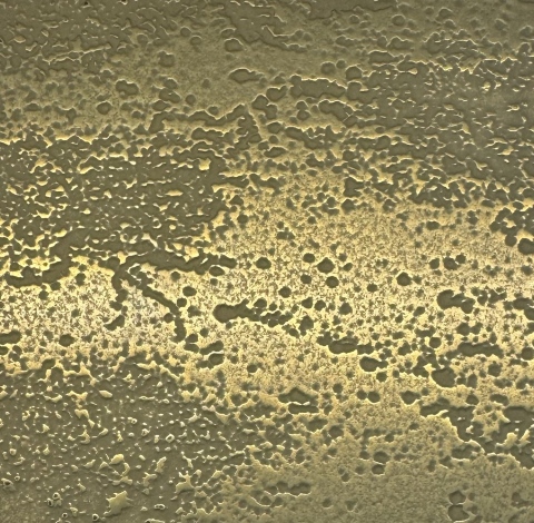 Liquid Copper