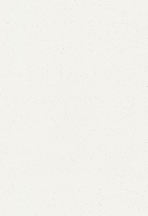 Rasato Fine Sand – Travertine Art Paint