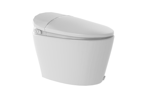 Smart Toilet