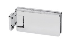Shower Door Hinge
