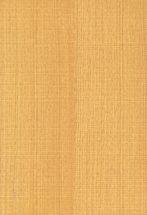 Color Swatch
