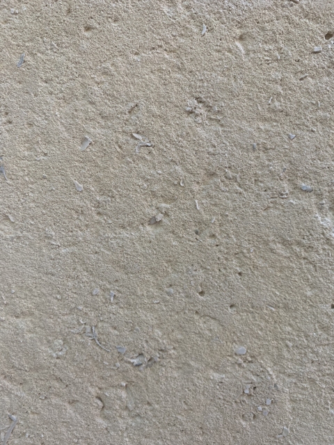Central Asian Sandstone