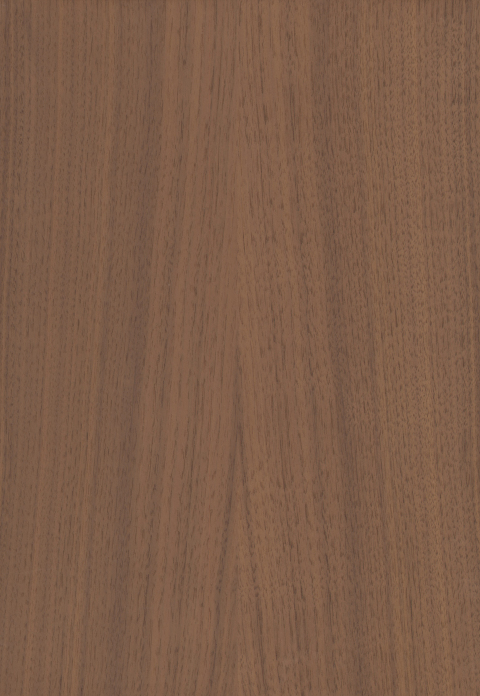 Color Swatch