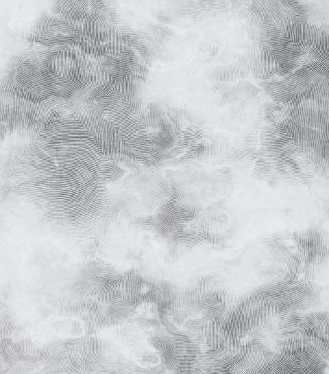 Hand-Tufted Carpet