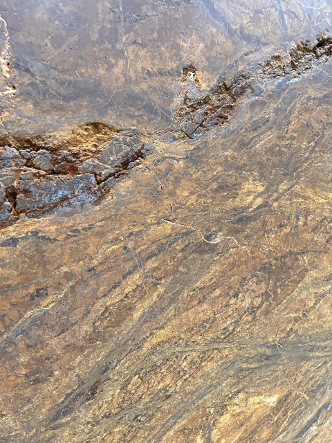 Enamel Brown