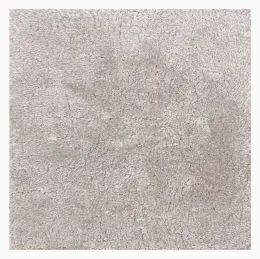 Hand-Tufted Carpet