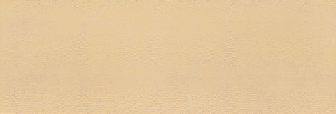 Light Yellow Python Pattern