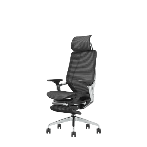 Premium Ergonomic Chair