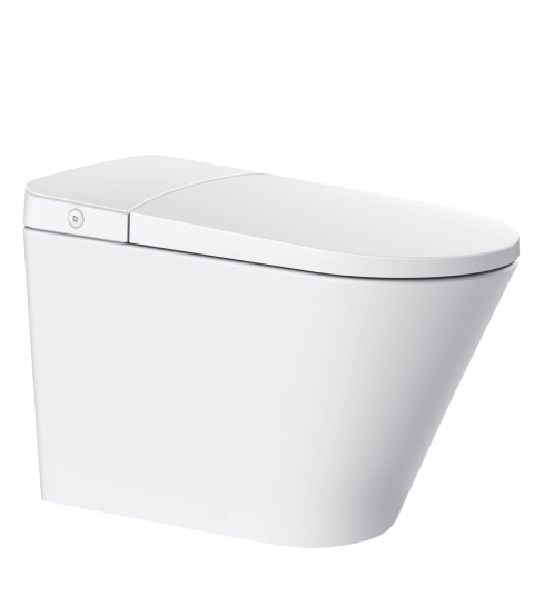 Smart Toilet