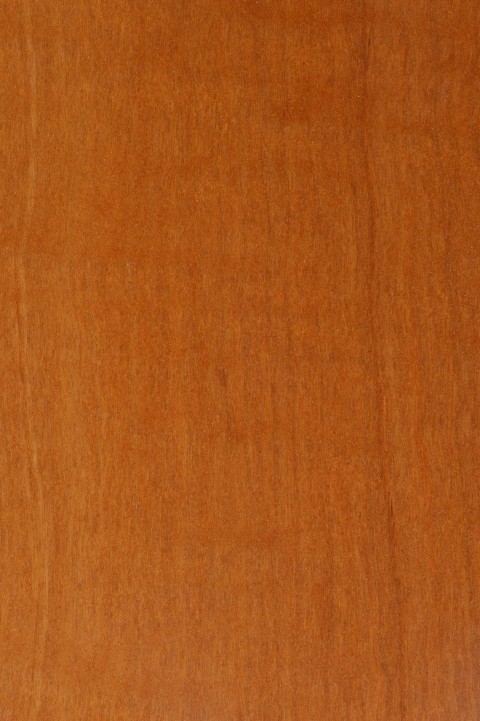 Class A Fire-retardant Veneer