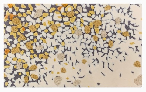 Hand-Tufted Carpet