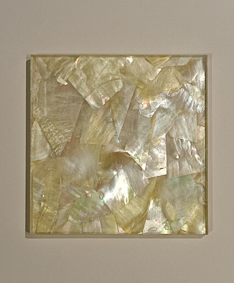 Shell Glass