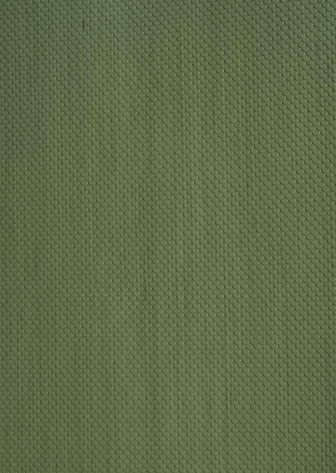 Alps Wood Veneer