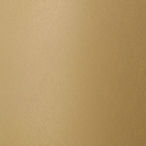 Random Brushed Champagne Silver Matte Stainless Steel