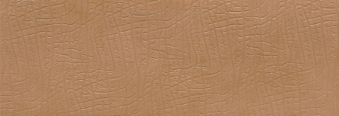 Chestnut Elephant Skin