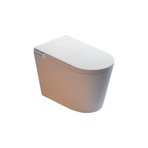 Smart Toilet
