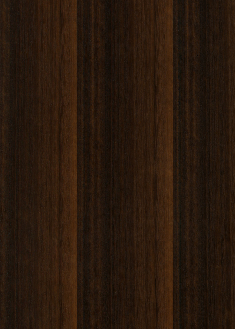 Color Swatch