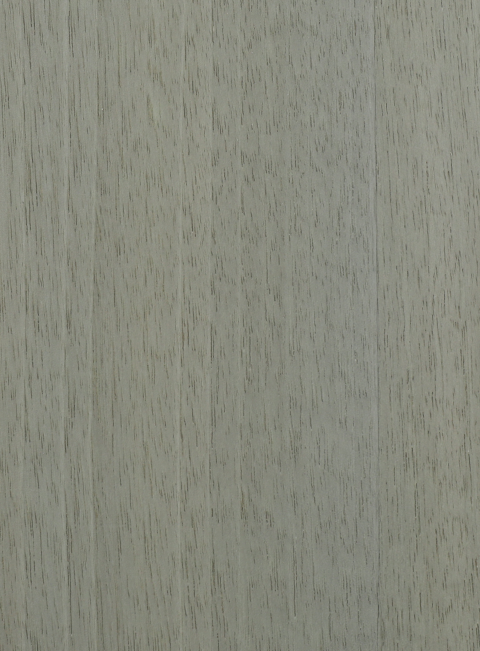 Boxwood