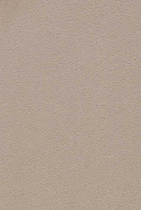 Color Swatch