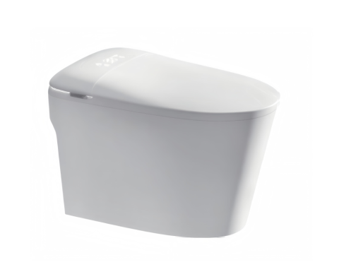 Smart Toilet