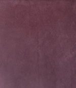 真皮