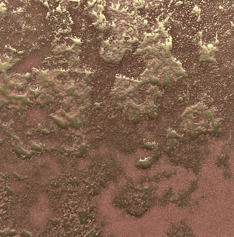 Liquid Copper