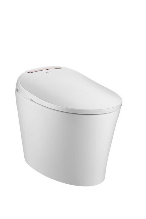 Smart Toilet