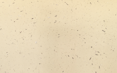 Limestone