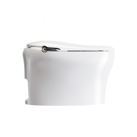 Low-Level Cistern Toilet