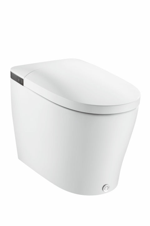 Smart Toilet