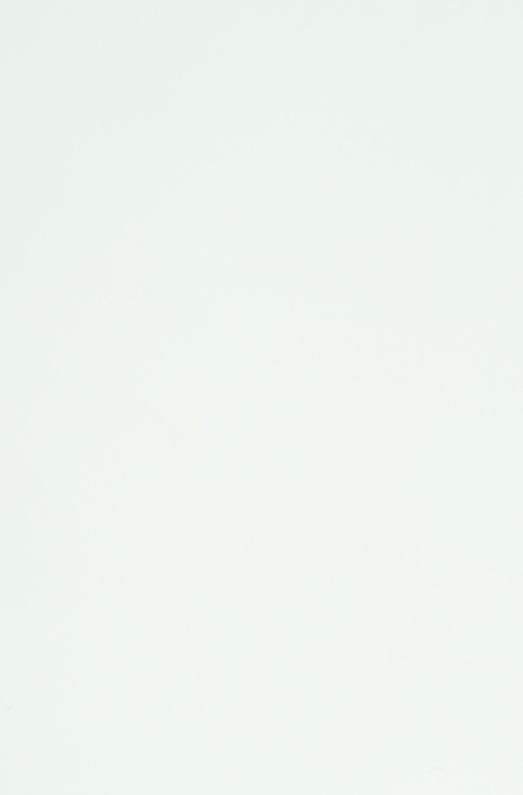 Lacquered White Veneer