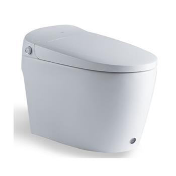 Smart Toilet