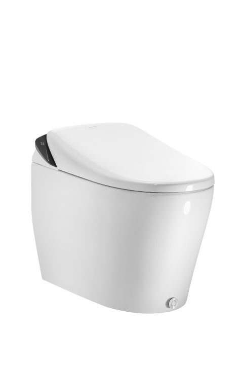 Smart Toilet