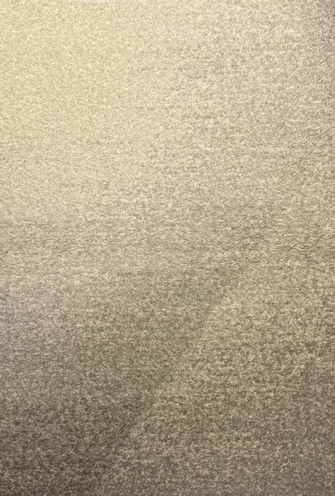 Printed Carpet