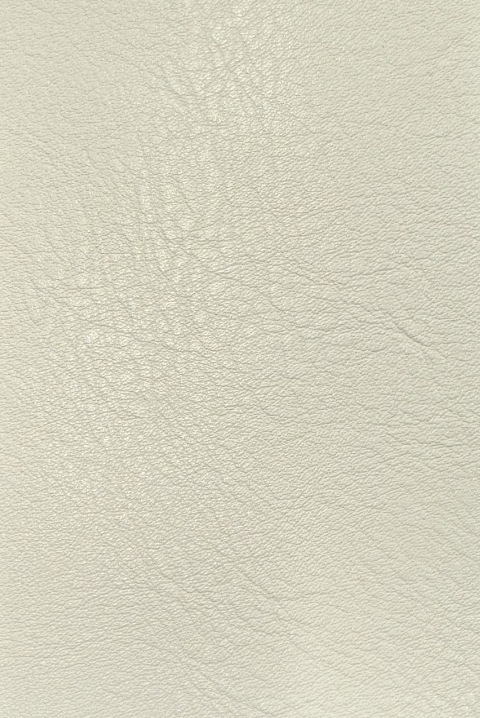 Faux Leather