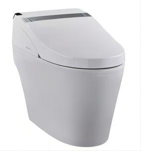 Smart Toilet