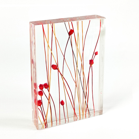 Plant Laminated Glass