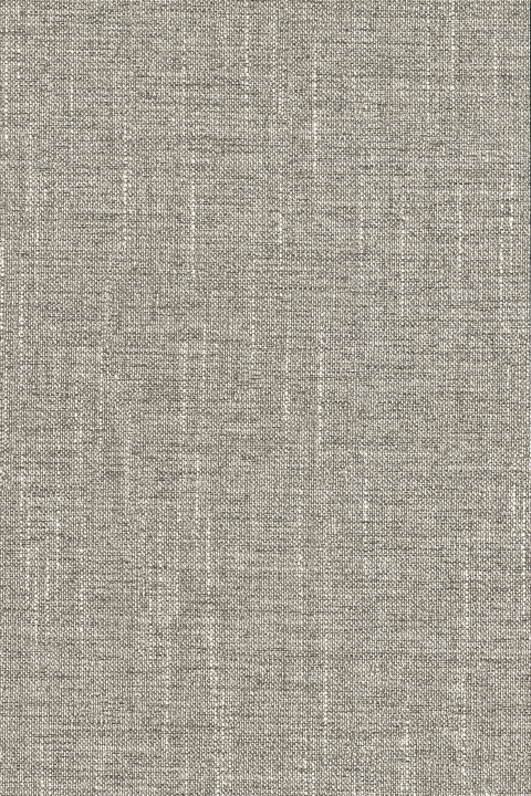 Color Swatch